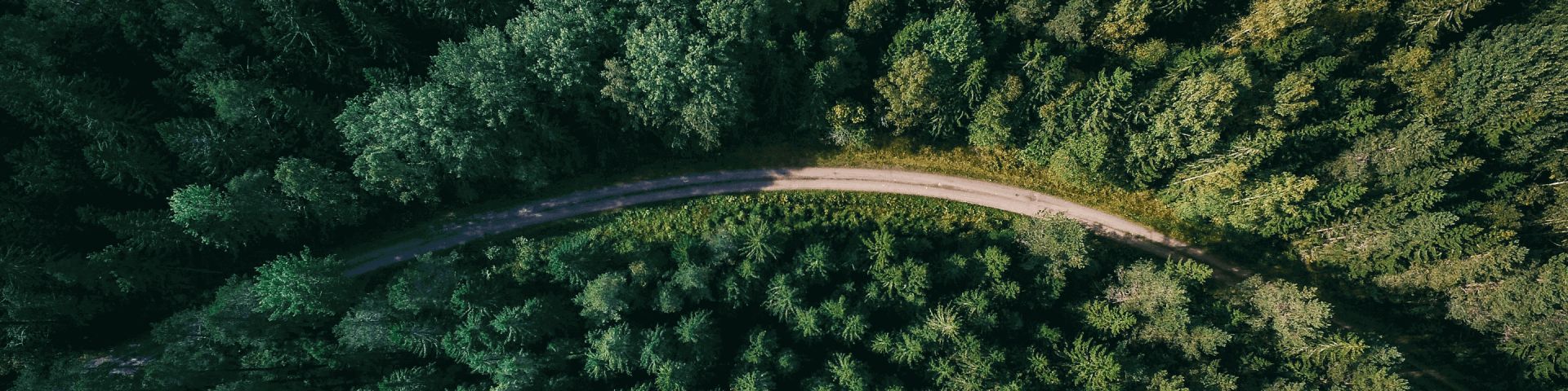 FAQ Landing