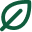 Vector